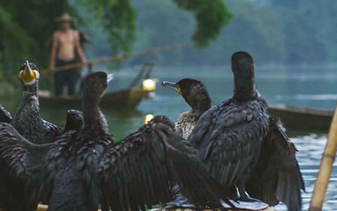 酉水渔歌（民歌MV）