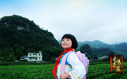 灵秀来凤（中文版-宣传片）