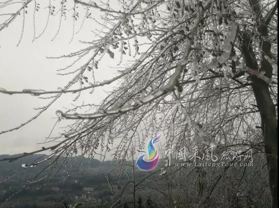 杨梅古寨—满地霜华浓似雪