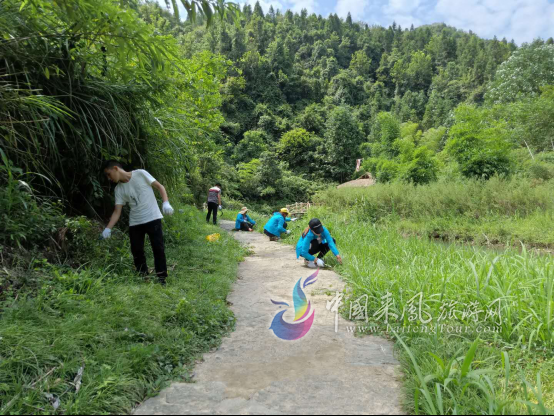 杨梅古寨景区积极开展义务劳动日活动